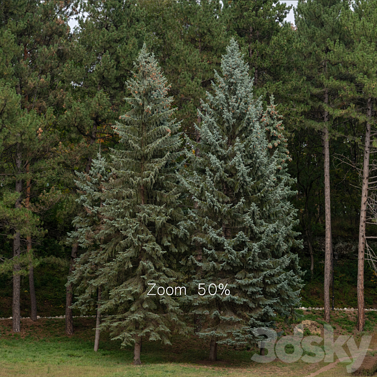 Autumn panorama with trees. 30k 3D Model Free