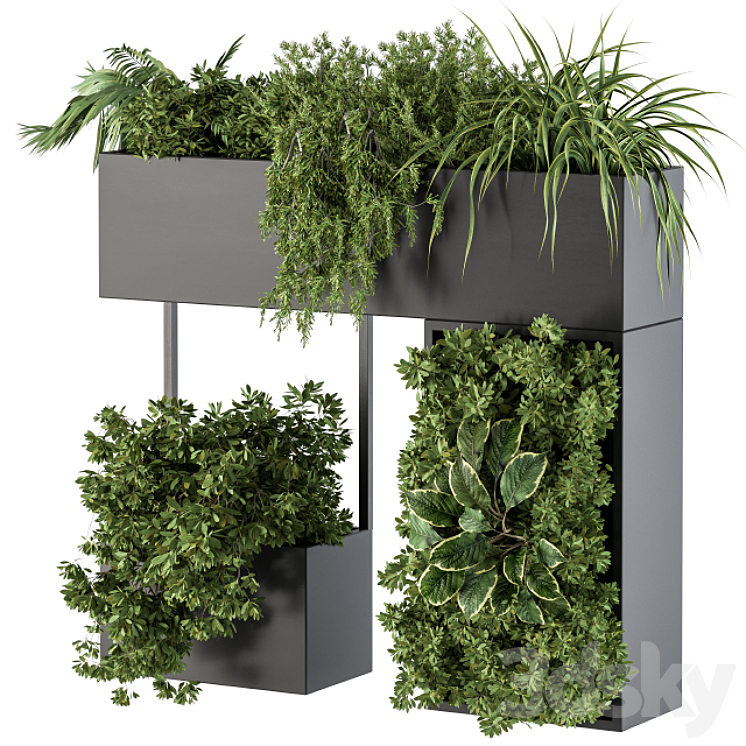 Plant Box on wall – indoor Plants 300 3DS Max - thumbnail 1