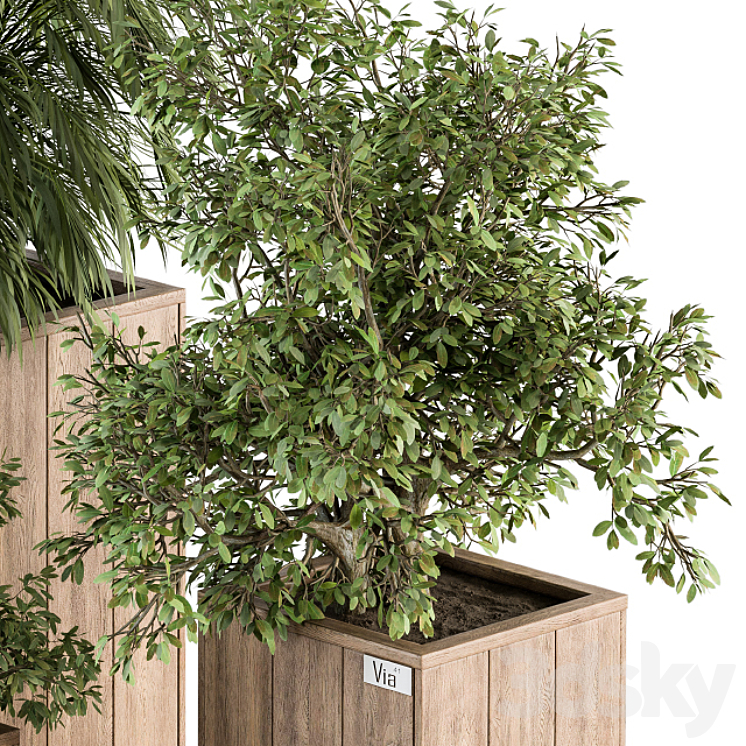 Outdoor Plant Set 297 – Wooden Plant Box 3DS Max Model - thumbnail 2