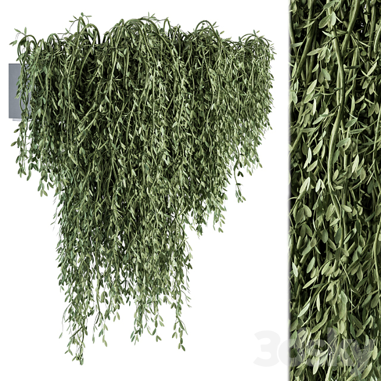 Outdoor Hanging Plants – Set 294 3DS Max - thumbnail 1