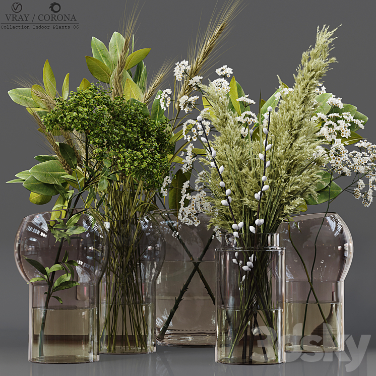 Collection Indoor Plants 06 3DS Max - thumbnail 1
