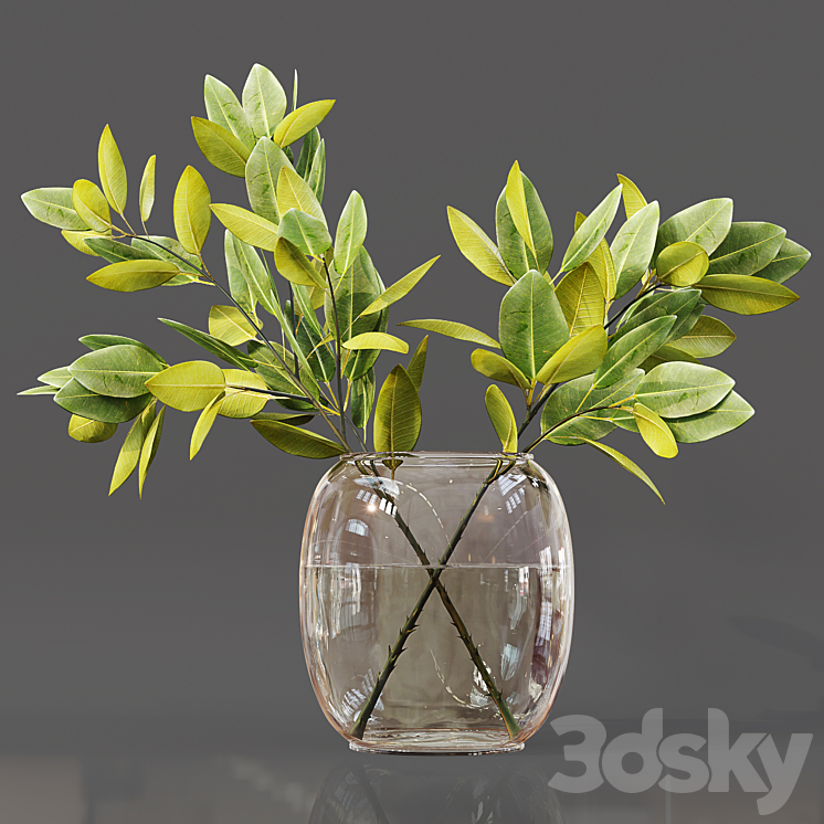 Collection Indoor Plants 06 3DS Max - thumbnail 2