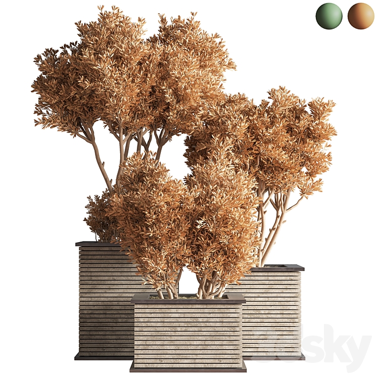 Outdoor_Plants_tree_22 3D Model Free