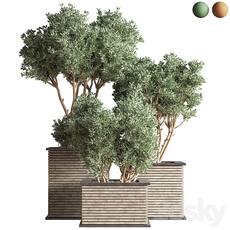 Outdoor_Plants_tree_22 Free Download