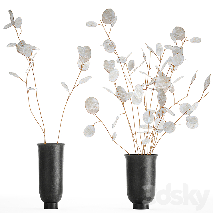 A bouquet of dried flowers in a black vase with branches of a dry Lunnik. 178. 3DS Max - thumbnail 1