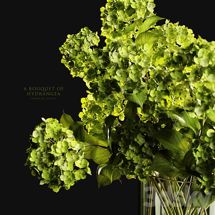 A bouquet of hydrangea 3D Model