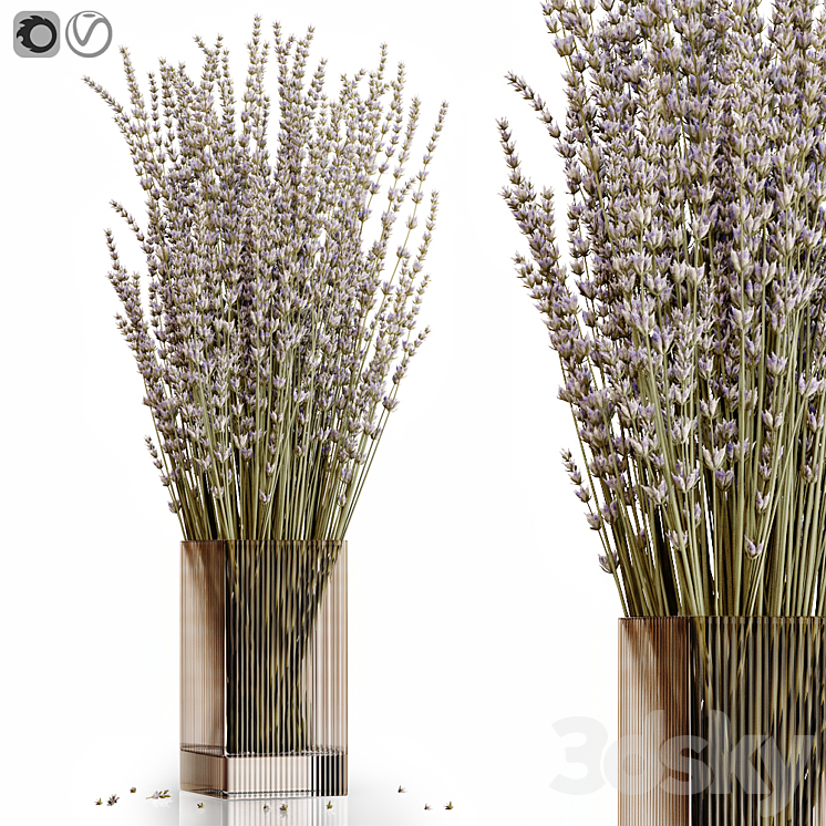 Dry flowers 5 lavender 3DS Max Model - thumbnail 1