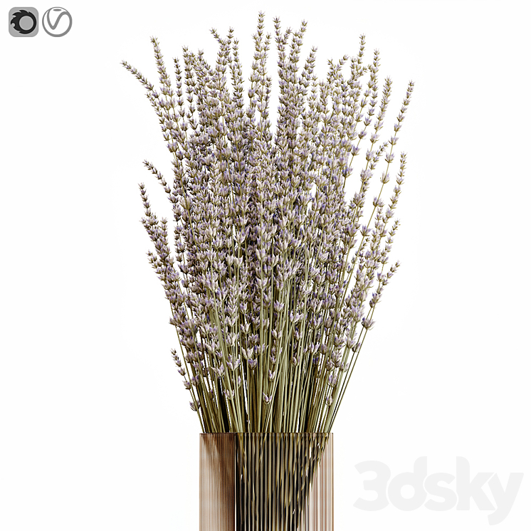 Dry flowers 5 lavender 3DS Max Model - thumbnail 2