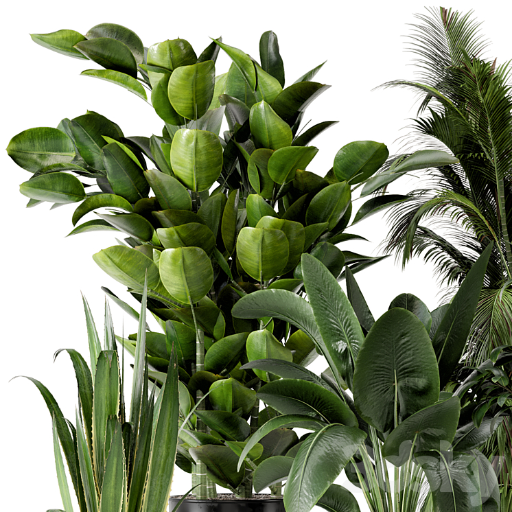 Indoor Plants in Ferm Living Bau Pot Large - Set 290 3D Model Free