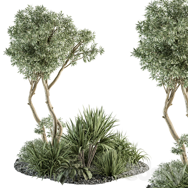 Needle tree and Bush – Outdoor Garden Set 305 3DS Max - thumbnail 1