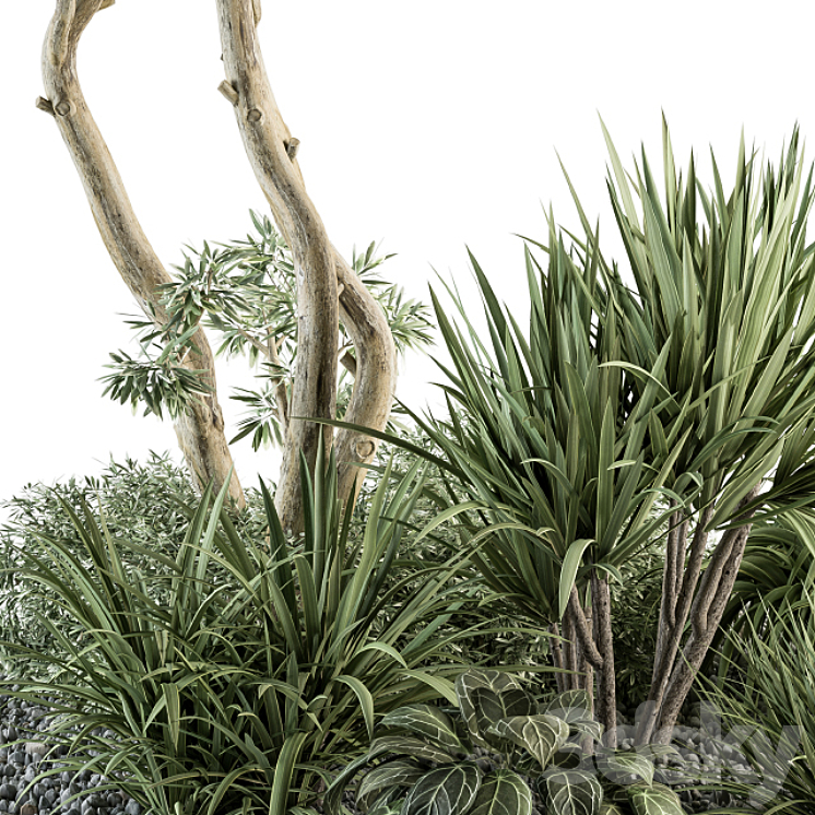 Needle tree and Bush – Outdoor Garden Set 305 3DS Max Model - thumbnail 2