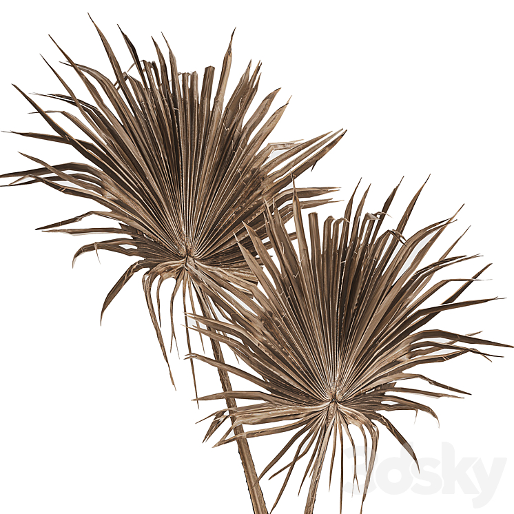 Bouquet of dried flowers in a vase with branches of dry palm leaves. 187. 3DS Max - thumbnail 2
