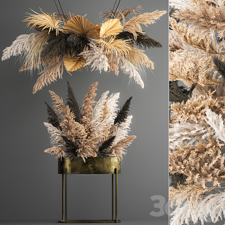 Hanging bouquet composition of dried flowers from pampas suspension dry palm leaf. 188. 3DS Max Model - thumbnail 1