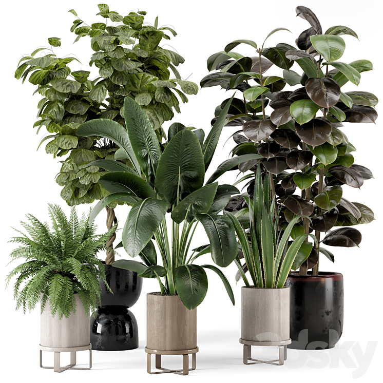 Indoor Plants in Ferm Living Bau Pot Large – Set 299 3DS Max Model - thumbnail 1