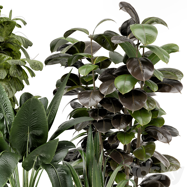 Indoor Plants in Ferm Living Bau Pot Large – Set 299 3DS Max Model - thumbnail 2
