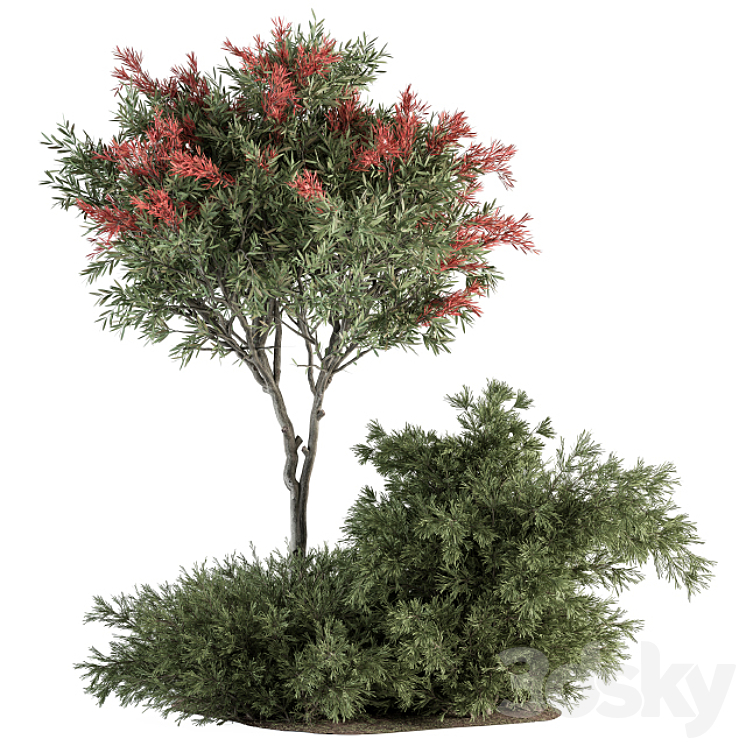 Red Crape Myrtle tree and Bush – Outdoor Garden Set 313 3DS Max - thumbnail 1