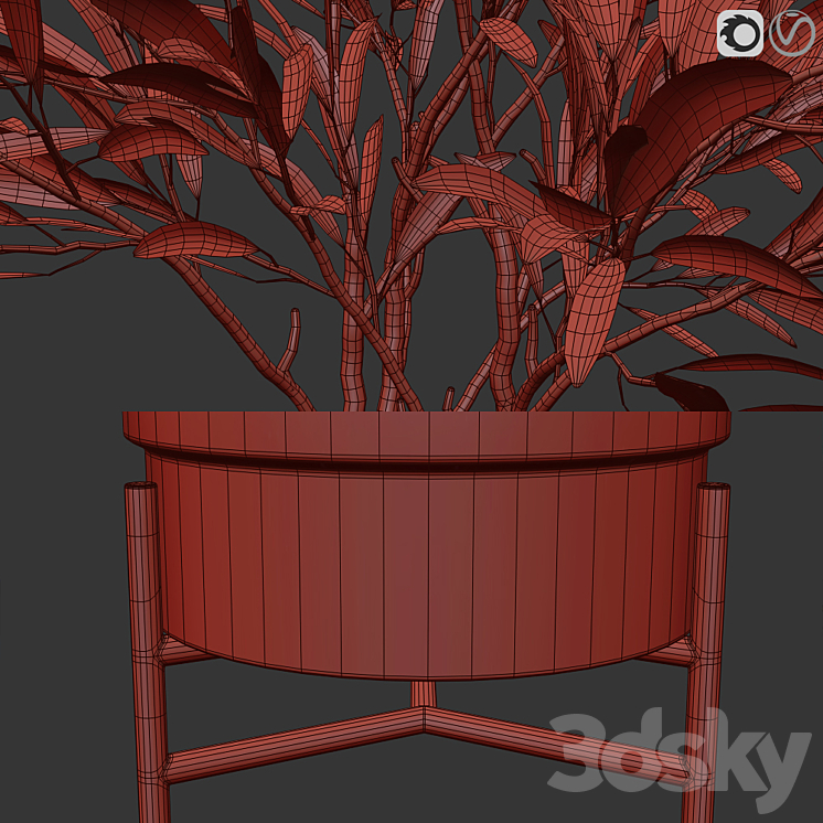 Olive trees 3 3D Model