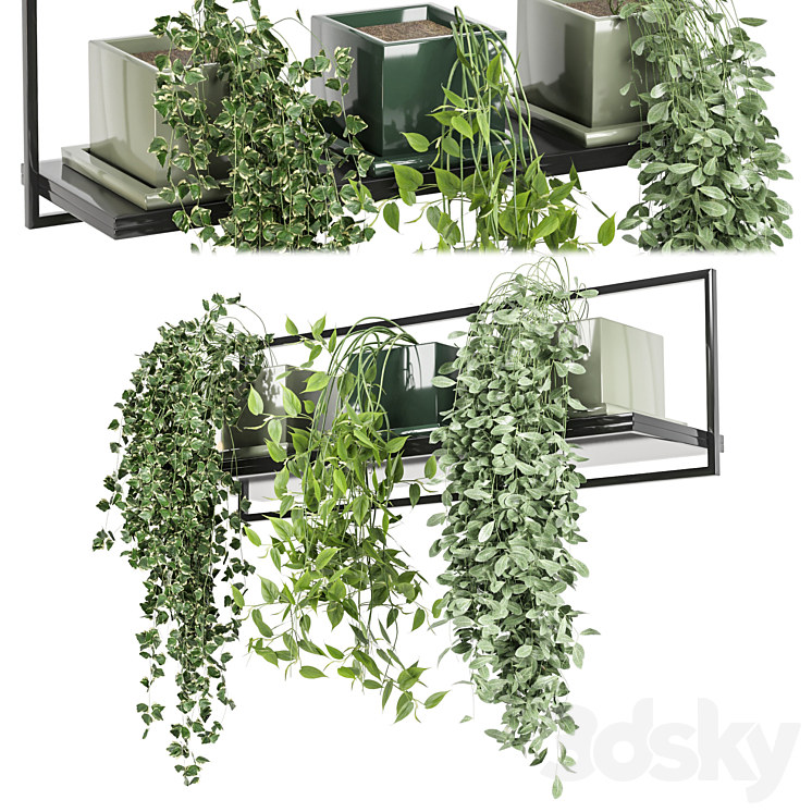 indoor plants in rusty concrete pot on metal shelf – Set 107 3DS Max - thumbnail 1