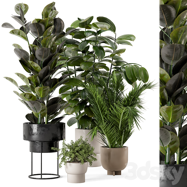 Indoor Plants in rusty Concrete Pot – Set 307 3DS Max Model - thumbnail 2