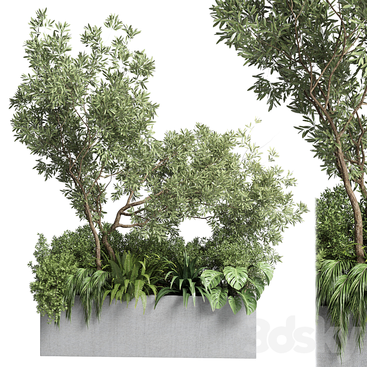 Collection outdoor plant 68 pot plant bush grass and tree and palm concrete vase bax 3DS Max - thumbnail 1