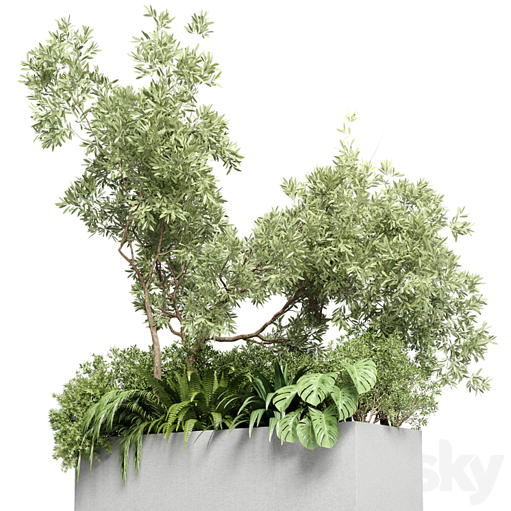 Collection outdoor plant 68 pot plant bush grass and tree and palm concrete vase bax 3DS Max - thumbnail 2