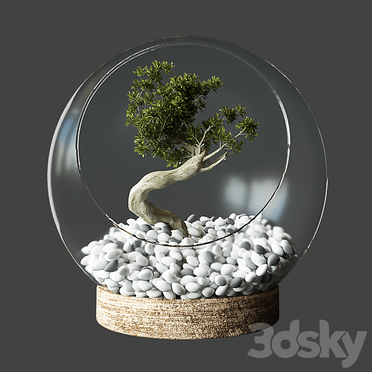 Little Tree In Glass Globe