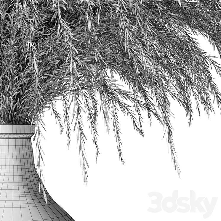 Pampas grass in a glass vase - Sofia Bouquet 3D Model