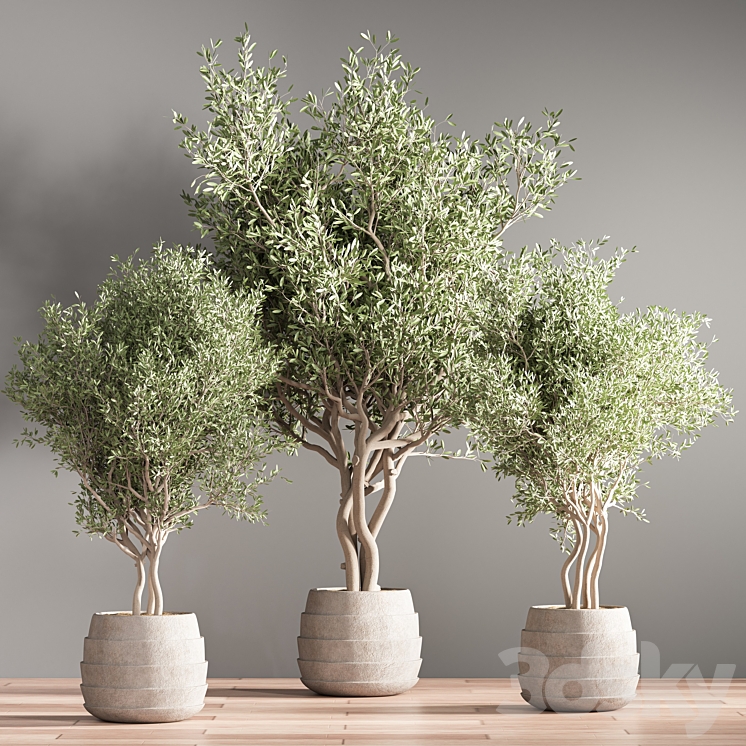 indoor plant stand 39 3DS Max - thumbnail 2