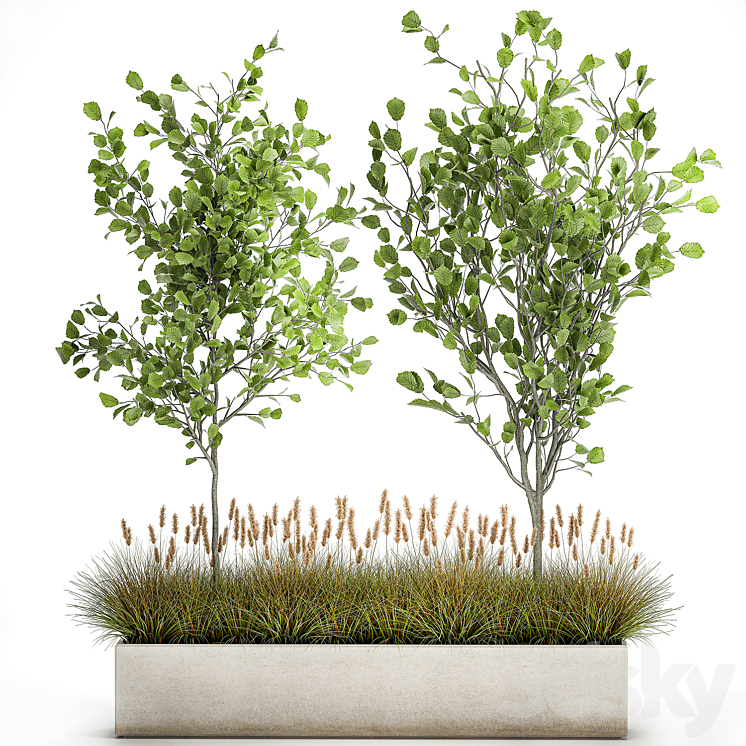 Collection of plants in a pot with hazel linden and reed trees bushes. 1066 3DS Max - thumbnail 1