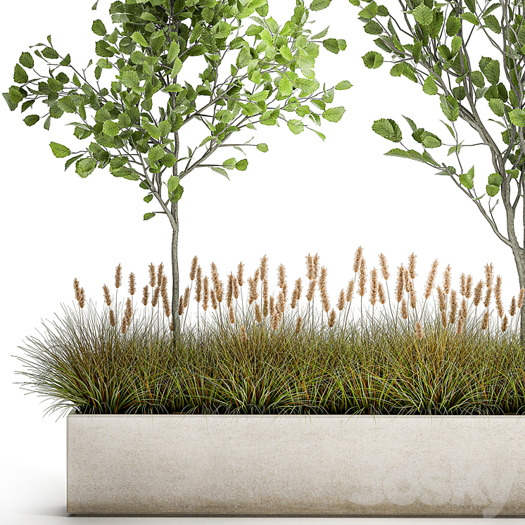 Collection of plants in a pot with hazel linden and reed trees bushes. 1066 3DS Max - thumbnail 2