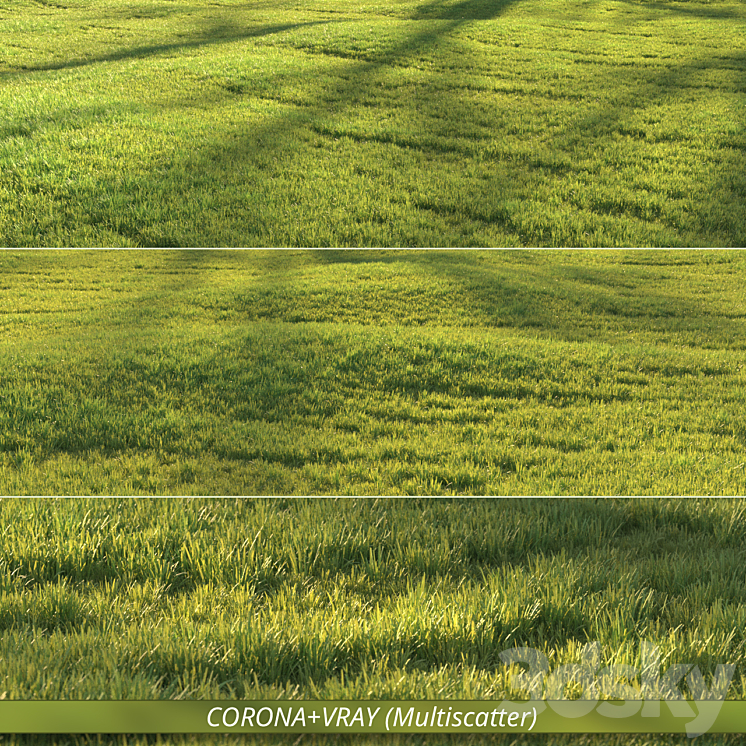 Sunny lawn 3D Model