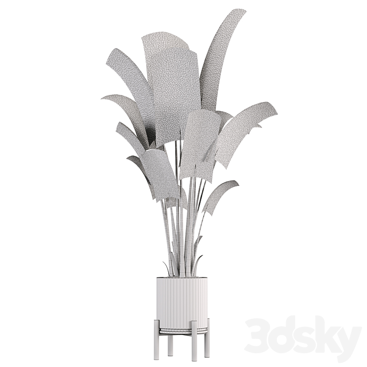 indoor plant set 01 3D Model