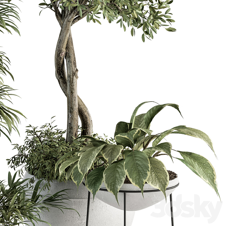 Outdoor Plant Set 323- Plant and Tree Set 3DS Max - thumbnail 2