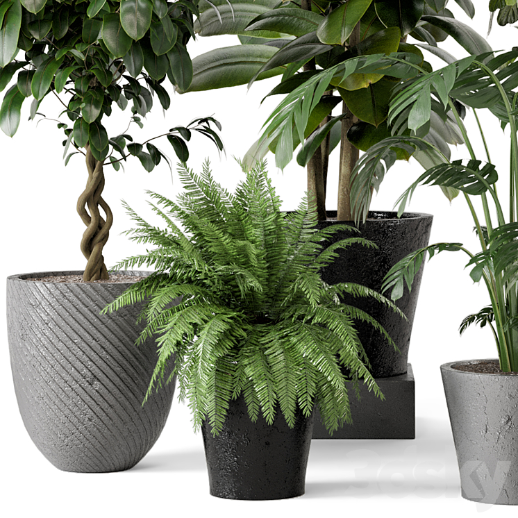 Indoor Plants in rusty Concrete Pot – Set 324 3DS Max Model - thumbnail 2