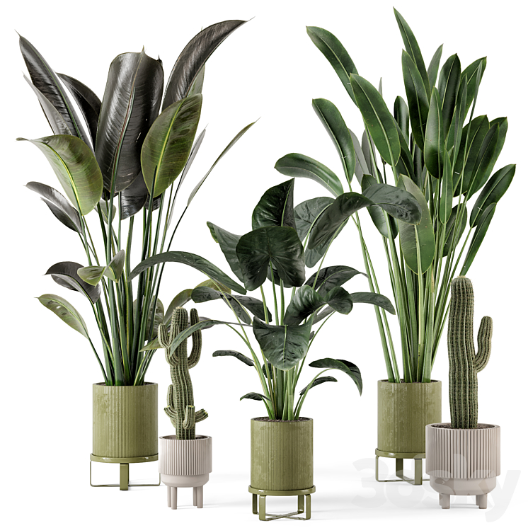 Indoor Plants in Standing Legs Small Bowl Concrete Pot – Set 325 3DS Max - thumbnail 1