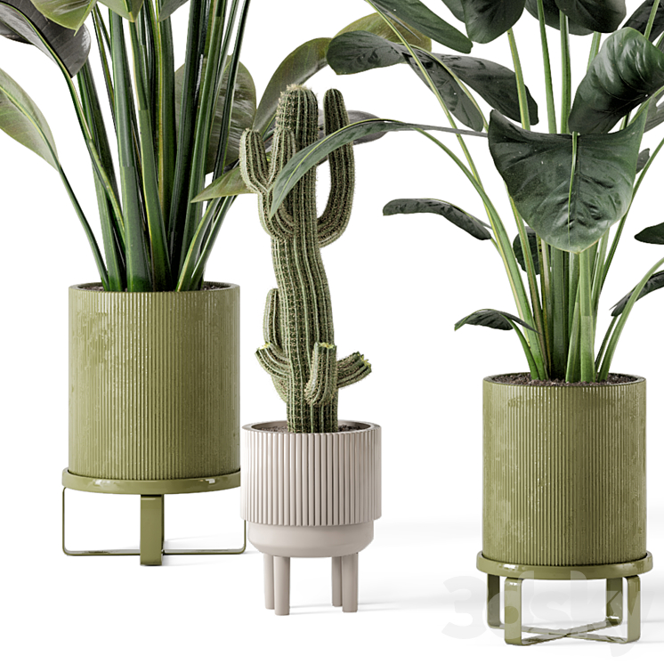 Indoor Plants in Standing Legs Small Bowl Concrete Pot – Set 325 3DS Max - thumbnail 2