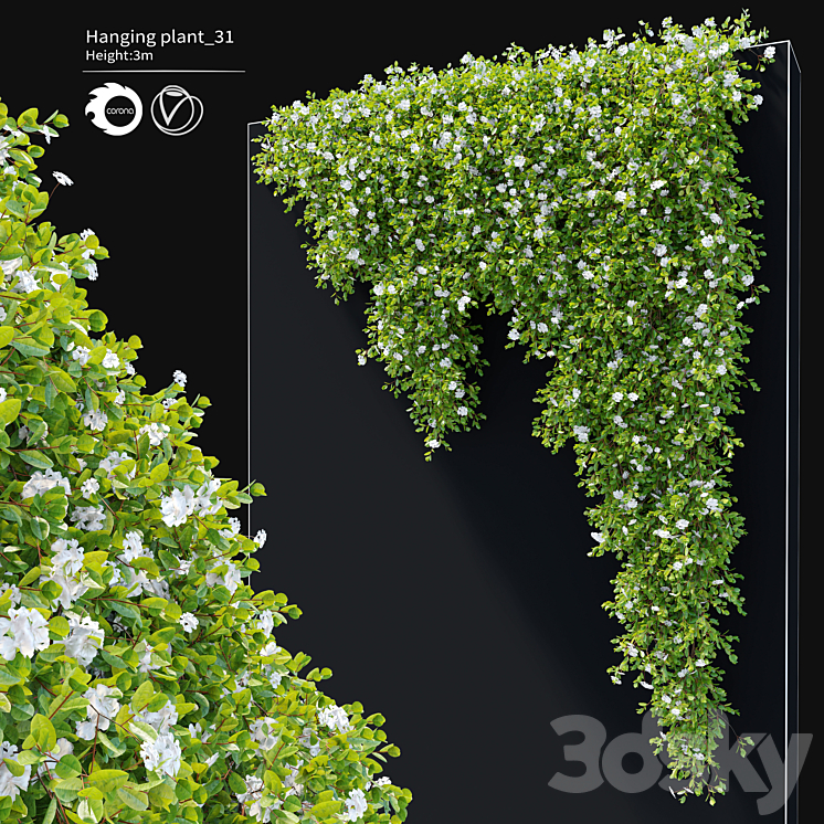 Hanging Plant 31 3DS Max Model - thumbnail 1