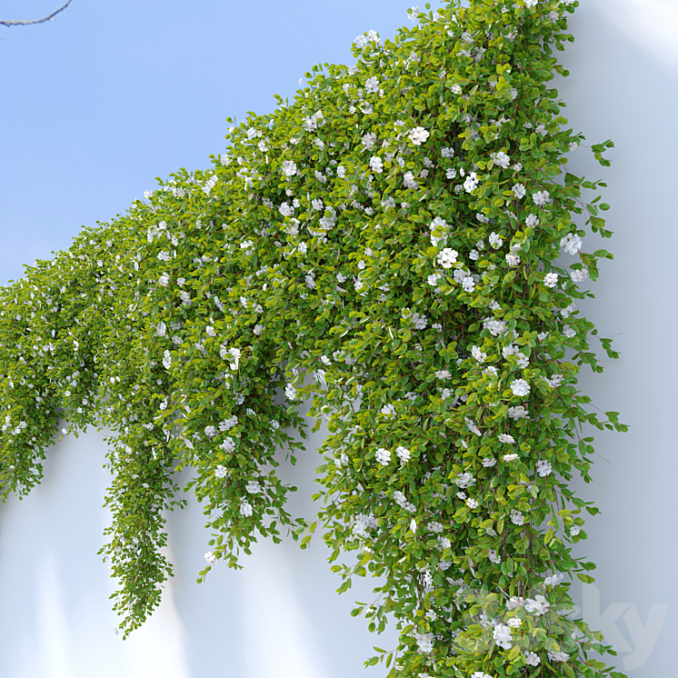 Hanging Plant 31 3DS Max Model - thumbnail 2