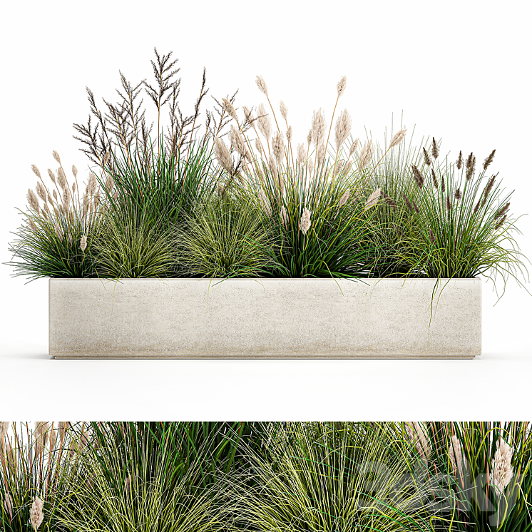 Collection of plants in a pot with pampas grass reeds flowerbed bushes landscaping. Set 1076. 3D Model