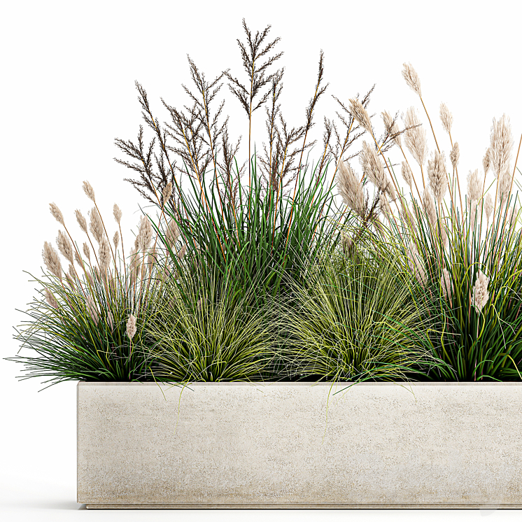 Collection of plants in a pot with pampas grass reeds flowerbed bushes landscaping. Set 1076. 3DS Max Model - thumbnail 2