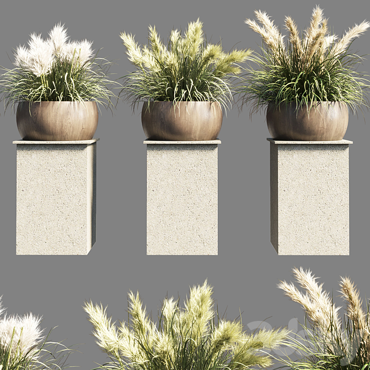Collection outdoor indoor 70 pot palnt grass the dry pampas stand vase wooden 3DS Max - thumbnail 1