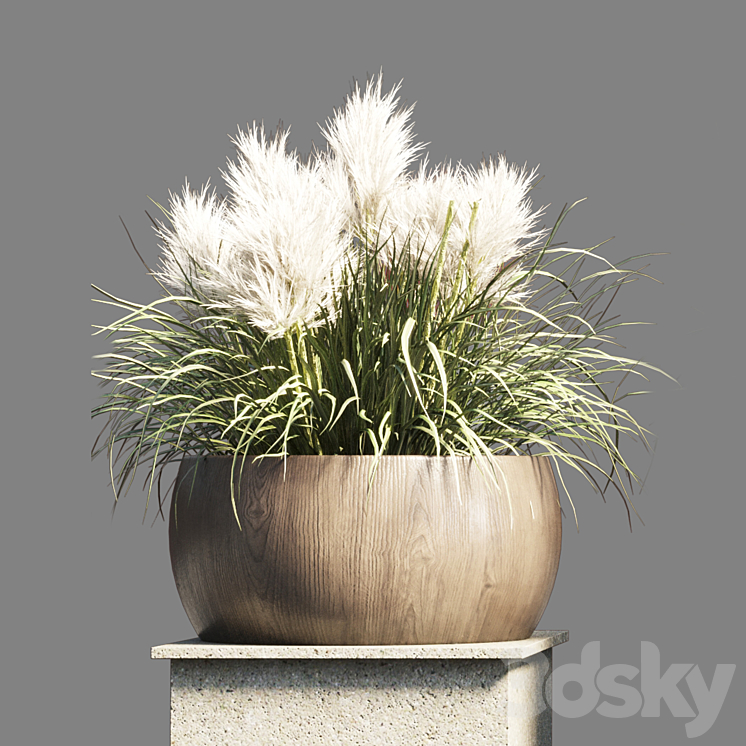 Collection outdoor indoor 70 pot palnt grass the dry pampas stand vase wooden 3DS Max Model - thumbnail 2