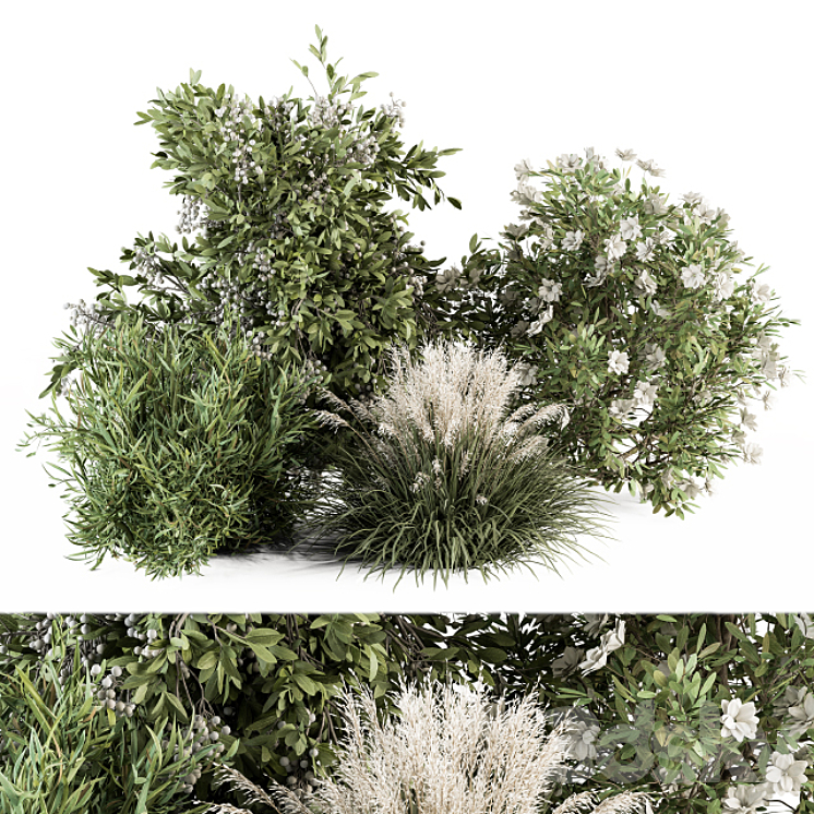Mixed Plant Bush – Bush Set 49 3D Model