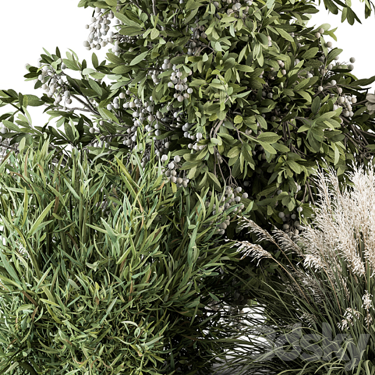 Mixed Plant Bush – Bush Set 49 3DS Max Model - thumbnail 2