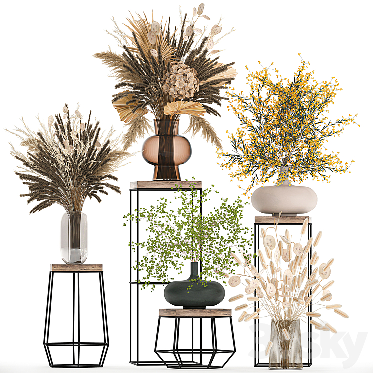 A set of bouquets of dried flowers in vases for decoration on shelves branches pampas grass. 216. 3DS Max Model - thumbnail 1