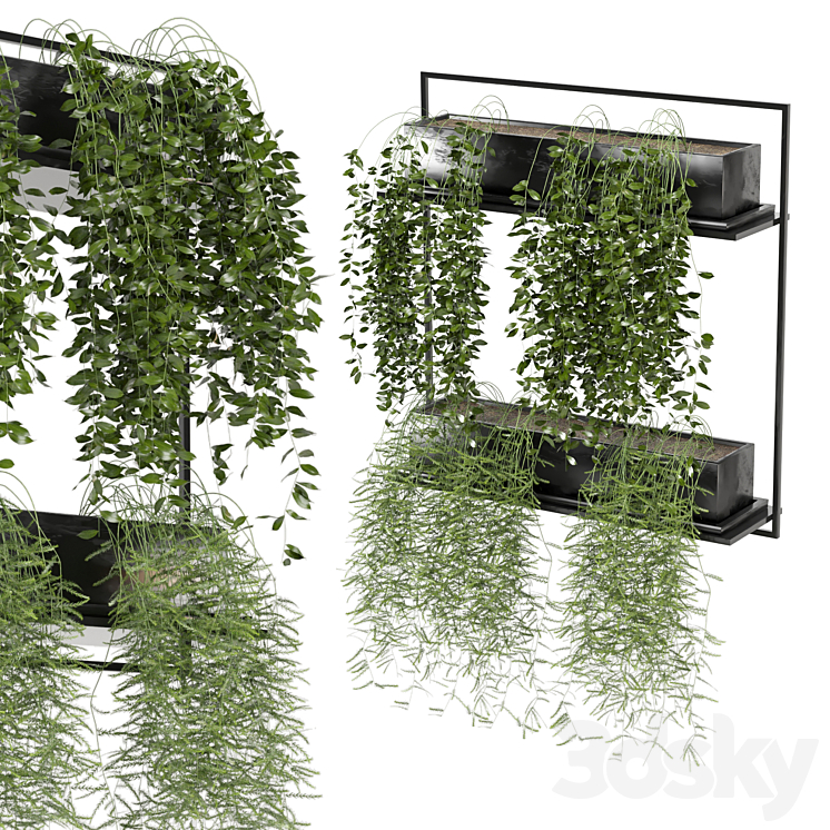 indoor hanging plants in metal box_set 142 3DS Max Model - thumbnail 1