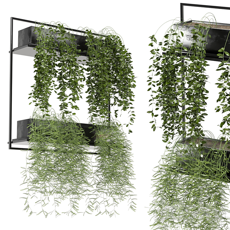 indoor hanging plants in metal box_set 142 3DS Max Model - thumbnail 2