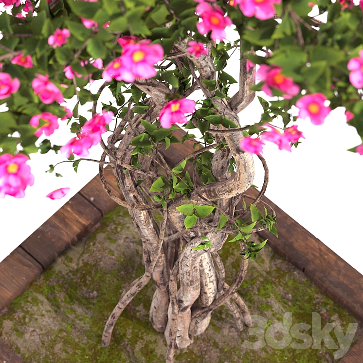 spring outdoor plants 03 3DS Max Model - thumbnail 2