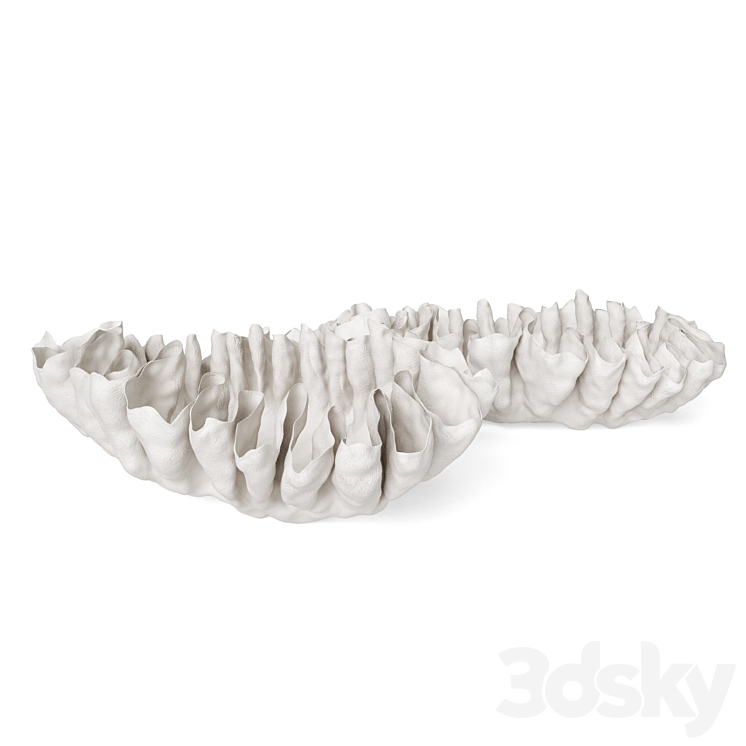 Svetlana Levadnaja Shell Vase 3D Model