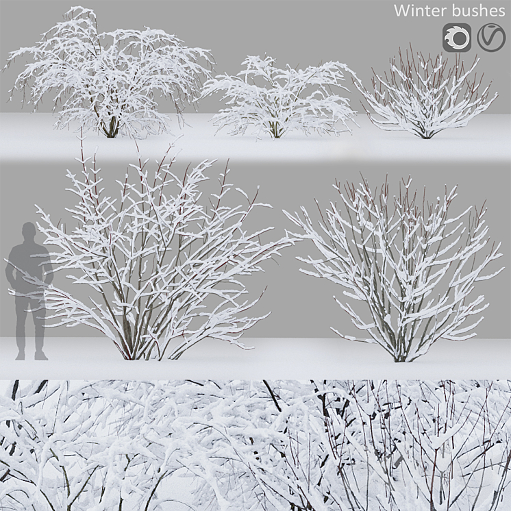 Winter bushes # 1 3D Model